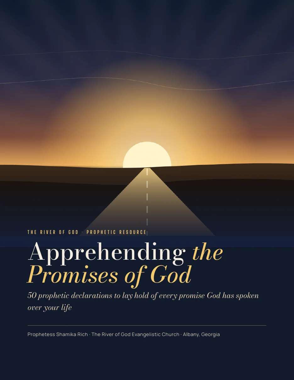 Cover of the Apprehending the Promises of God PDF: a road leading toward a rising sun